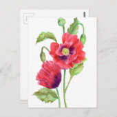 Red Poppies Floral Art Briefkaart (Voorkant / Achterkant)