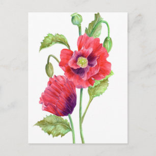 Red Poppies Floral Art Briefkaart