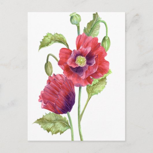 Red Poppies Floral Art Briefkaart (Voorkant)