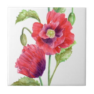 Red Poppies Floral Art Tegeltje