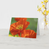 Red Poppies Kaart (Gele Bloem)