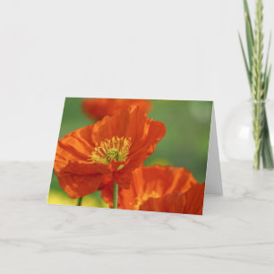 Red Poppies Kaart