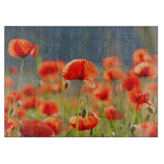 Red Poppies Poppy Flowers Blue Sky Snijplank (Voorkant)