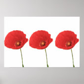 Red Poppies Poster afdrukken (Voorkant)