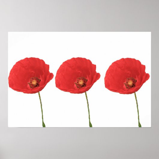 Red Poppies Poster afdrukken (Voorkant)