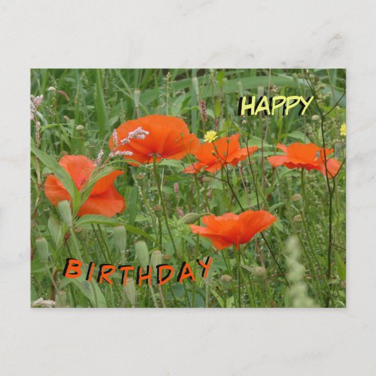 Red Poppies Wild Flowers Happy Birthday Briefkaart (Voorkant)