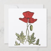 Red Poppy Bedankkaart (Voorkant)