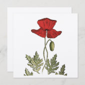 Red Poppy Bedankkaart (Voorkant / Achterkant)