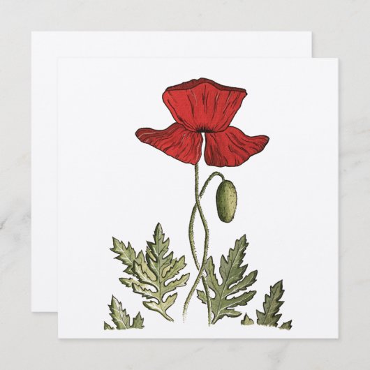 Red Poppy Bedankkaart (Voorkant / Achterkant)