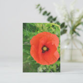 Red Poppy Briefkaart (Staand voorkant)