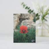 Red Poppy Briefkaart (Staand voorkant)