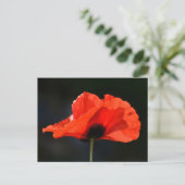 Red Poppy Briefkaart (Staand voorkant)