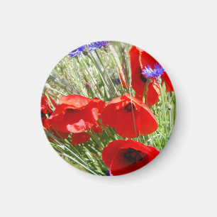 Red Poppy, Cottage Garden foto Magneet