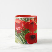 Red Poppy, Cottage Garden foto Mok (Midden)