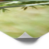 Red Poppy, Cottage Garden foto Poster (Hoek)