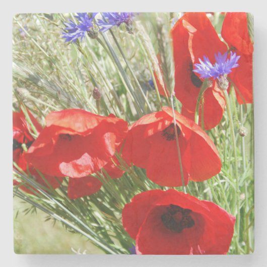 Red Poppy, Cottage Garden foto Stenen Onderzetter (Voorkant)