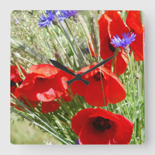 Red Poppy, Cottage Garden foto Vierkante Klok