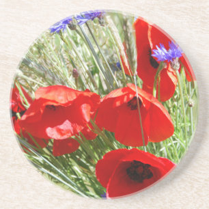 Red Poppy, Cottage Garden foto Zandsteen Onderzetter