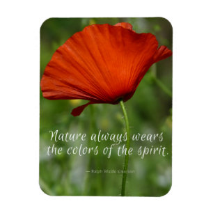 Red Poppy Emerson Natuur Quote Magnet Magneet