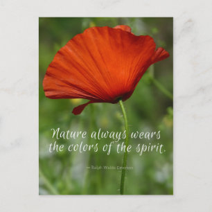 Red Poppy Emerson Quote Briefkaart