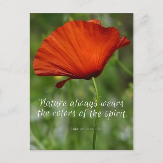 Red Poppy Emerson Quote Briefkaart (Voorkant)