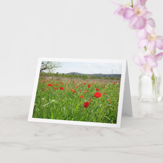 Red Poppy Field Kaart (Orchidee)