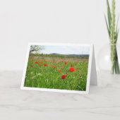 Red Poppy Field Kaart (Voorkant)