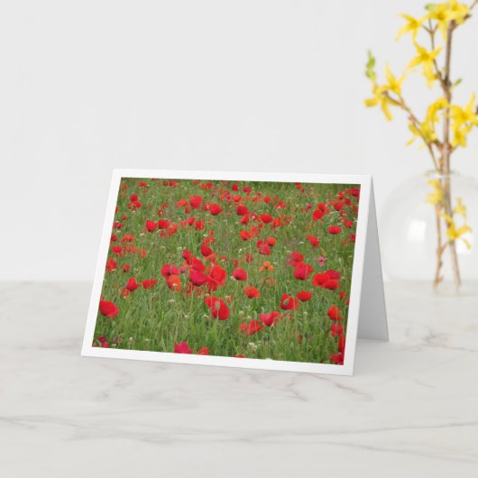 Red Poppy Field Landscape Card Kaart (Gele Bloem)