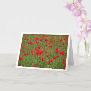 Red Poppy Field Landscape Card Kaart