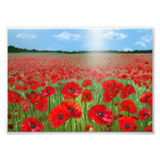 Red poppy field wall art decor landscape foto afdruk