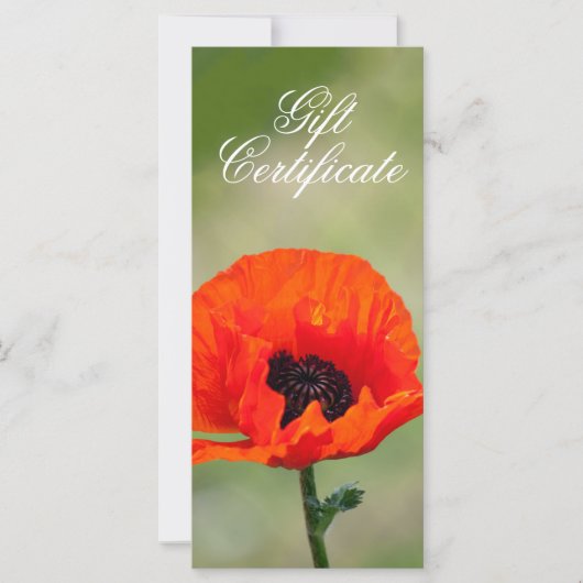 Red Poppy Flower Cadeaubon (Voorkant)