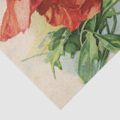 Red Poppy Flower Carte Postale Franse ontkoppeling Tissuepapier (Detail)
