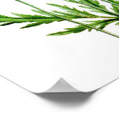 Red Poppy Flower Wall Decor Print #4 (Hoek)