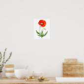 Red Poppy Flower Wall Decor Print #4 (Keuken)