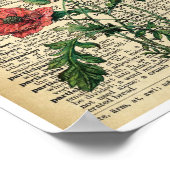 Red Poppy Flowers Art print Poster  pagina (Hoek)