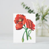 Red Poppy Flowers Briefkaart (Staand voorkant)