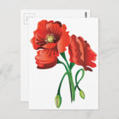 Red Poppy Flowers Briefkaart (Voorkant / Achterkant)
