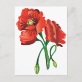 Red Poppy Flowers Briefkaart (Voorkant)