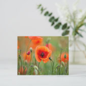 Red Poppy Flowers Briefkaart (Staand voorkant)