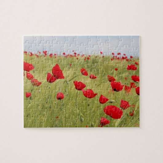 Red Poppy Flowers Field Natuur Legpuzzel (Horizontaal)