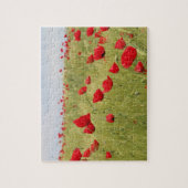 Red Poppy Flowers Field Natuur Legpuzzel (Verticaal)