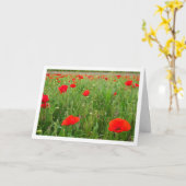 Red Poppy Flowers Kaart (Gele Bloem)