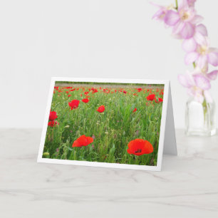 Red Poppy Flowers Kaart