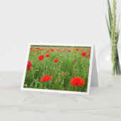 Red Poppy Flowers Kaart (Voorkant)