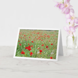 Red Poppy Flowers Kaart