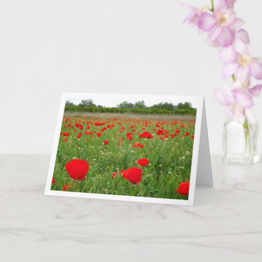Red Poppy Flowers Kaart (Orchidee)