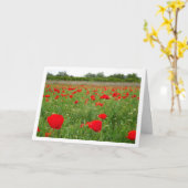Red Poppy Flowers Kaart (Gele Bloem)