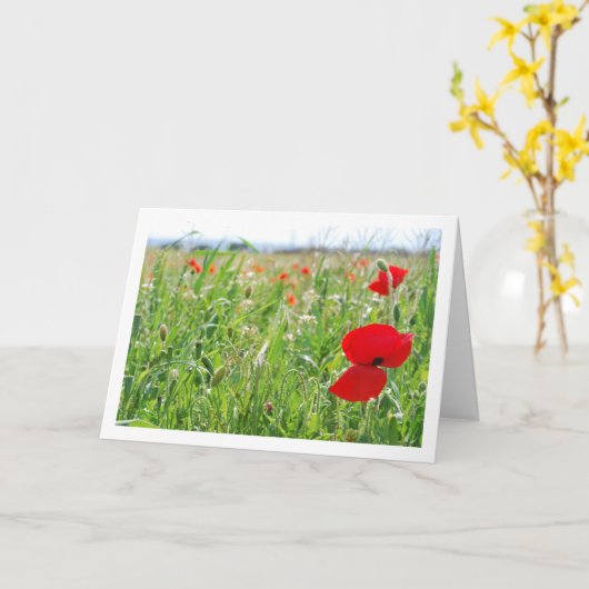 Red Poppy Flowers Kaart (Gele Bloem)