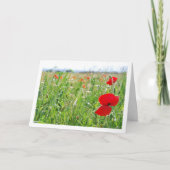 Red Poppy Flowers Kaart (Voorkant)