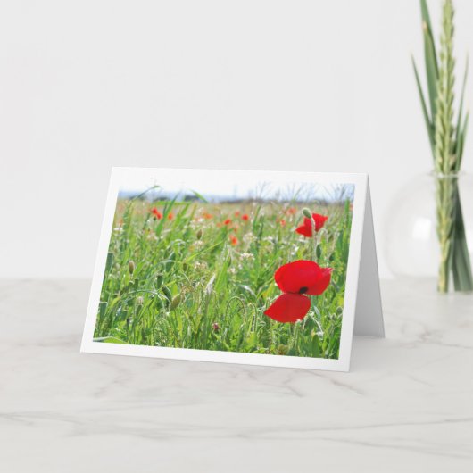 Red Poppy Flowers Kaart (Voorkant)